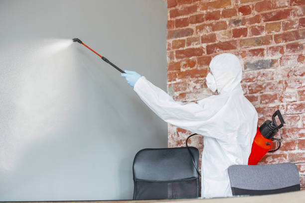 Rainier, OR Mold Removal Pros