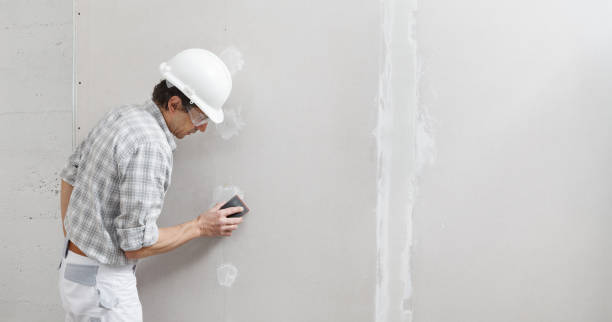 Best Water Damage & Mold Remediation  in Rainier, OR
