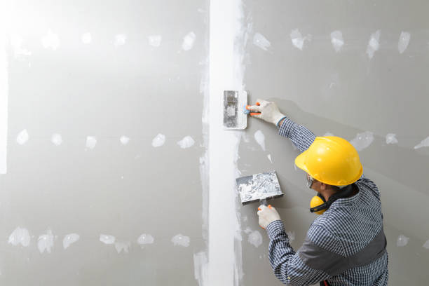 Best Post-Construction Mold Inspection  in Rainier, OR