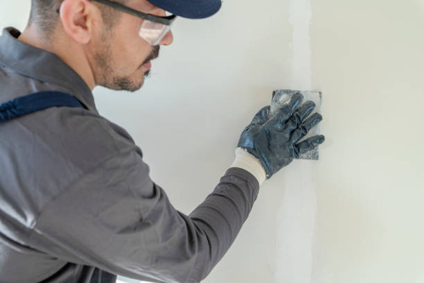 Best Attic Mold Removal  in Rainier, OR