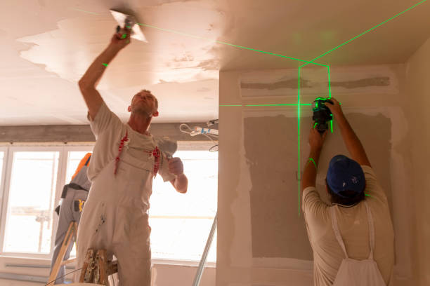 Best Environmental Consulting for Mold Prevention  in Rainier, OR