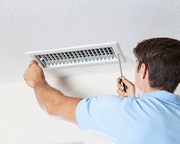 Best Basement Mold Removal  in Rainier, OR