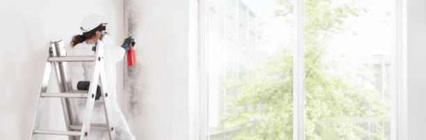 Best Commercial Mold Inspection  in Rainier, OR